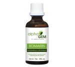 Romarin (Rosmarinus officinalis) bourgeon